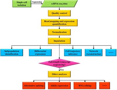 Single-Cell RNA-Seq Technologies and Related Computational Data Analysis